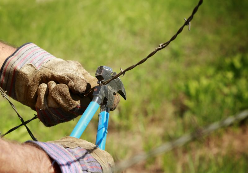 Fence Service in Spring